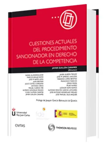 CUESTIONES ACTUALES DEL PROCEDIMIENTO SANCIONADOR EN DERECHO DE LA COMPETENCIA