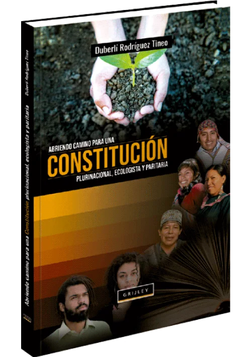 ABRIENDO CAMINO PARA UNA CONSTITUCIÓN PLURINACIONAL, ECOLOGISTA Y PARITARIA