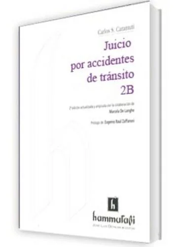 JUICIO POR ACCIDENTES DE TRÁNSITO. TOMO..