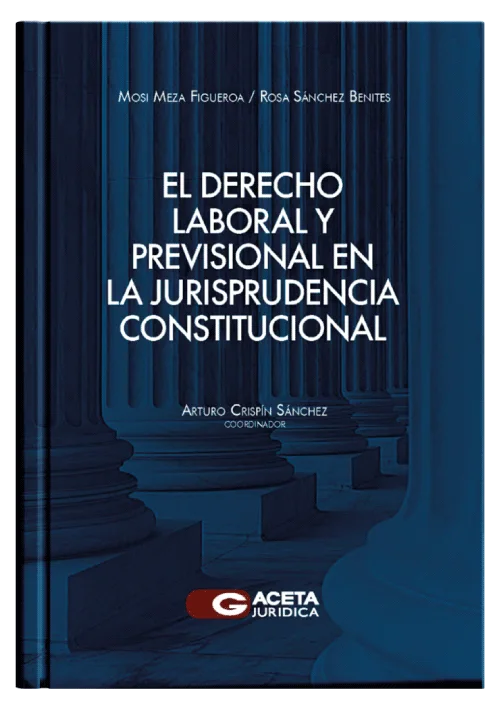 EL DERECHO LABORAL Y PREVISIONAL  EN LA JURISPRUDENCIA CONSTITUCIONAL