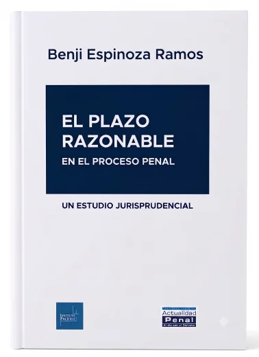 El Plazo Razonable en el Proceso Penal. ..
