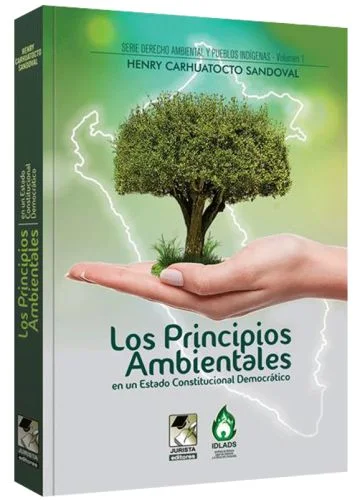 LOS PRINCIPIOS AMBIENTALES 
