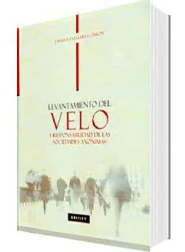 LEVANTAMIENTO DEL VELO Y REPONSABILIDAD DE LAS SOCIEDADES ANÓNIMAS