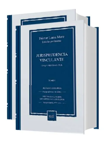 JURISPRUDENCIA VINCULANTE CIVIL Y PROCESAL CIVIL