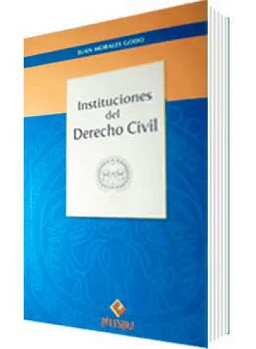 INSTITUCIONES DEL DERECHO CIVIL