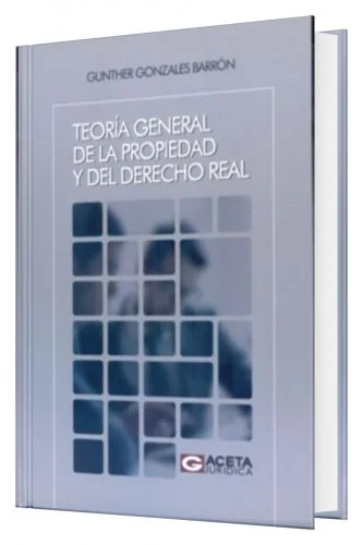 Teoría General de la Propiedad y del Derecho Real 