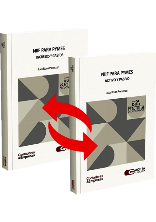 DÚO PRACTICUM DEL CONTADOR: NIIF para PYMES. Activo y pasivo / NIIF para PYMES. Ingresos y gastos.
