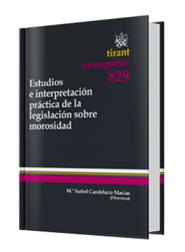 ESTUDIOS E INTERPRETACIÓN PRÁCTICA DE LA LEGISLACIÓN SOBRE MOROSIDAD 