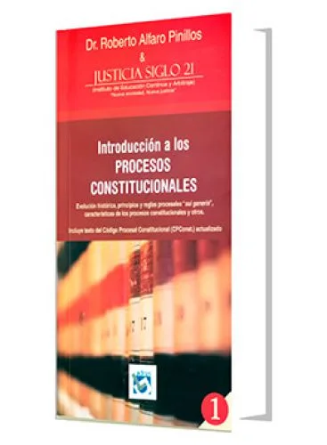 INTRODUCCIÓN A LOS PROCESOS CONSTITUCIONALES