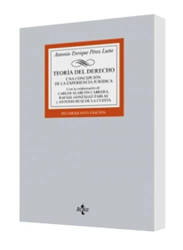 TEORÍA DEL DERECHO (Una concepción de la experiencia jurídica)