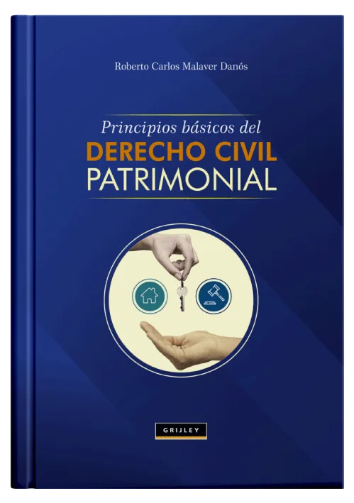 PRINCIPIOS BÁSICOS DEL DERECHO CIVIL PATRIMONIAL