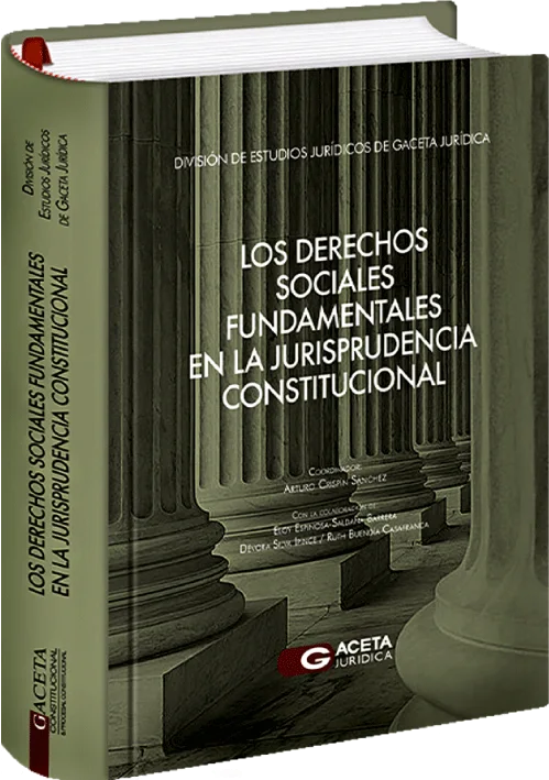 LOS DERECHOS SOCIALES FUNDAMENTALES EN LA JURISPRUDENCIA CONSTITUCIONAL