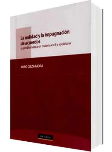LA NULIDAD Y LA IMPUGNACIÓN DE ACUERDOS