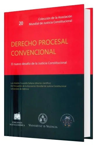 Derecho Procesal Convencional