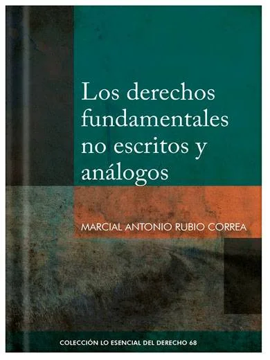 LOS DERECHOS FUNDAMENTALES NO ESCRITOS Y ANÁLOGOS TOMO 68 LO ESENCIAL