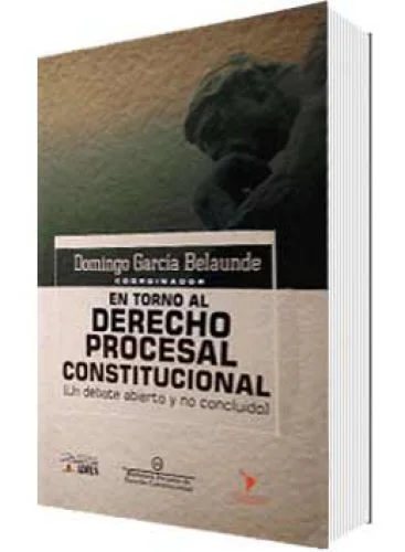 EN TORNO AL DERECHO PROCESAL CONSTITUCIONAL