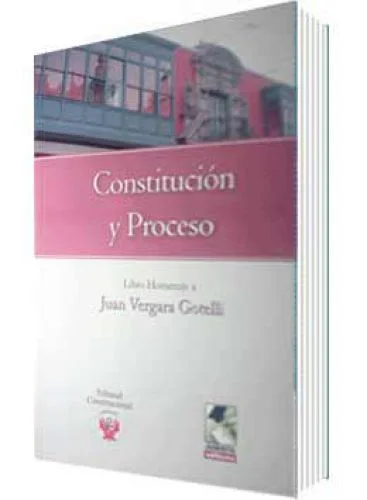 CONSTITUCIÓN Y PROCESO