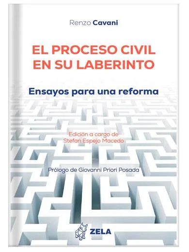 EL PROCESO CIVIL EN SU LABERINTO ENSAYOS PARA UNA REFORMA