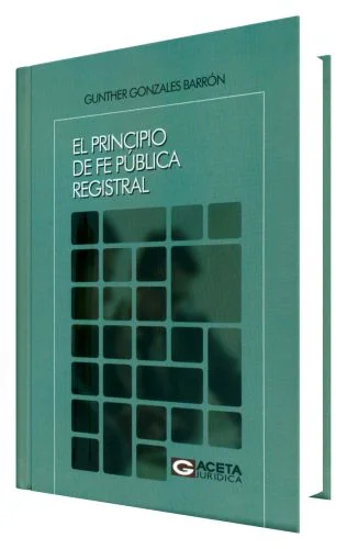 El Principio de fe Pública Registral