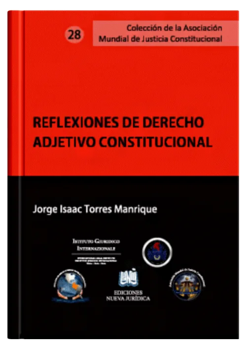 REFLEXIONES DE DERECHO ADJETIVO CONSTITUCIONAL