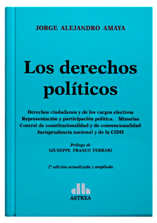 LOS DERECHOS POLÍTICOS