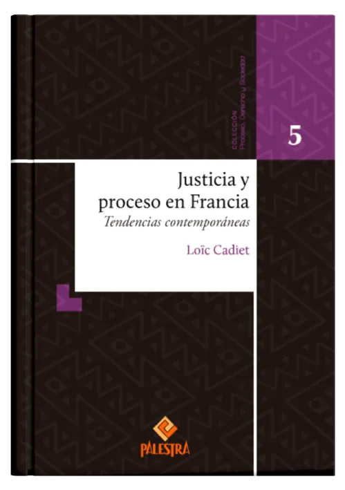 JUSTICIA Y PROCESO EN FRANCIA - Tendencias contemporaneas