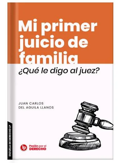 MI PRIMER JUICIO DE FAMILIA. ¿QUÉ LE DIGO AL JUEZ?