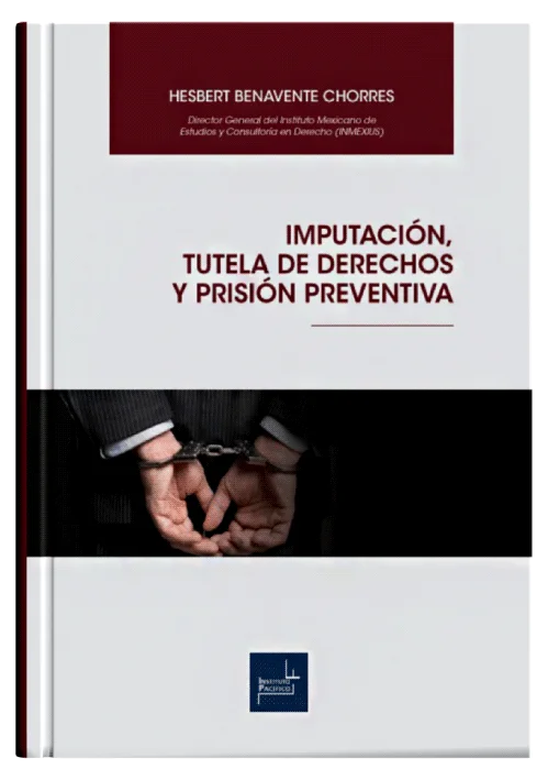 IMPUTACIÓN, TUTELA DE DERECHOS Y PRISIÓN PREVENTIVA