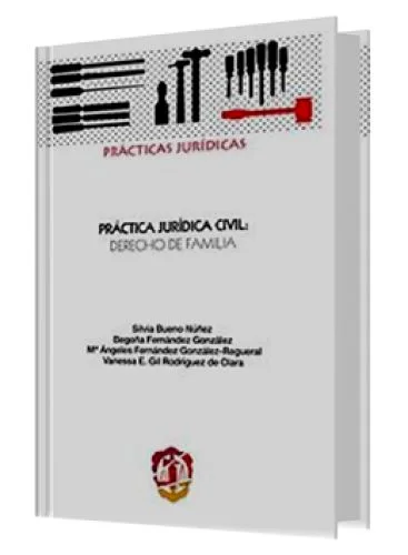 PRÁCTICA JURÍDICA CIVIL: DERECHO DE FAMILIA