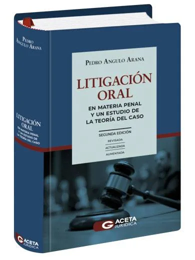 LITIGACION ORAL EN MATERIA PENAL Y UN ESTUDIO DE LA TEORIA DEL CASO