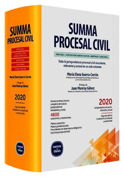 SUMMA PROCESAL CIVIL (2020)