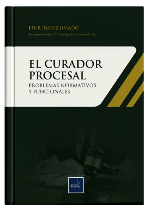 EL CURADOR PROCESAL - Problemas Normativos y Funcionales