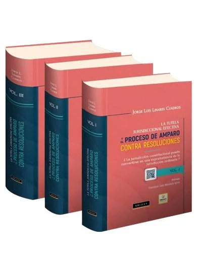 LA TUTELA JURISDICCIONAL EFECTIVA Y EL P..