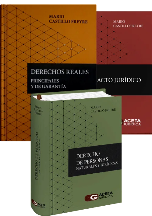 BIBLIOTECA MARIO CASTILLO FREYRE; DERECHOS REALES, DERECHO DE PERSONAS, ACTO JURÍDICO