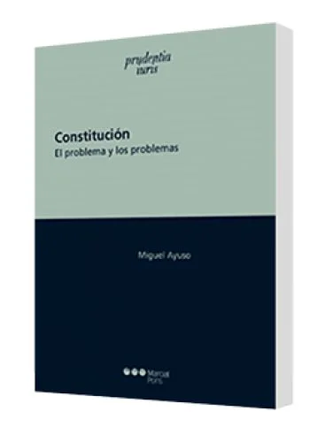 CONSTITUCIÓN (El problema y sus problemas)