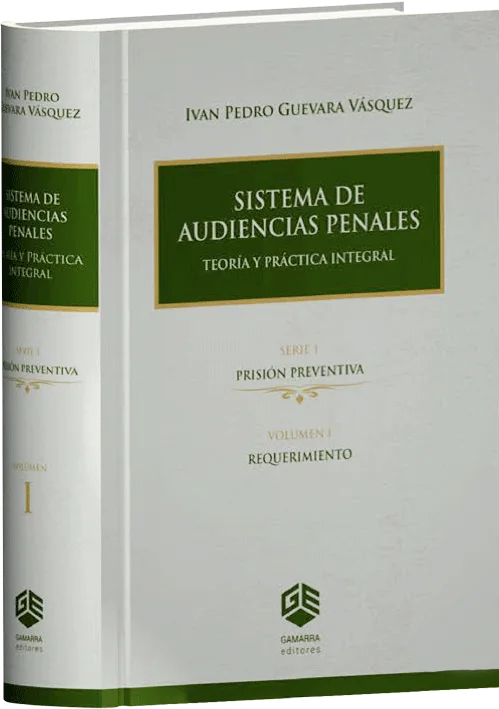 SISTEMA DE AUDIENCIAS PENALES - Teoría Y Práctica Integral (volumen 1)