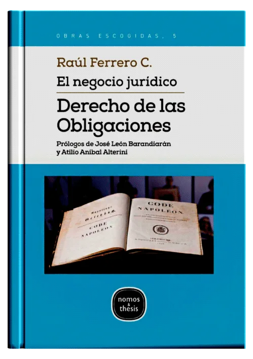 EL NEGOCIO JURÍDICO DERECHO DE LAS OBLIGACIONES (2021)
