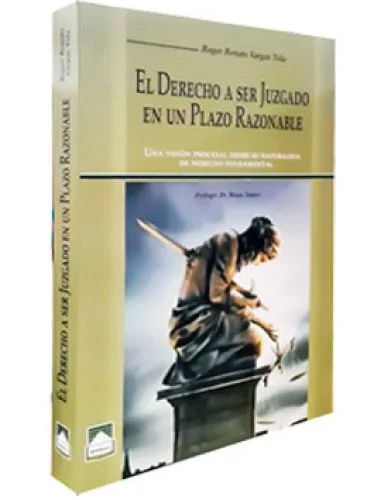 EL DERECHO A SER JUZGADO EN UN PLAZO RAZONABLE