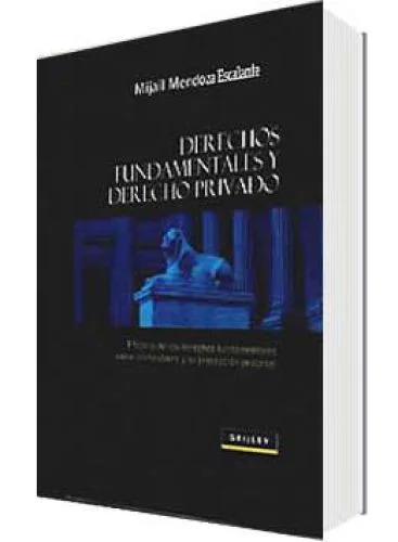 DERECHOS FUNDAMENTALES Y DERECHO PRIVADO