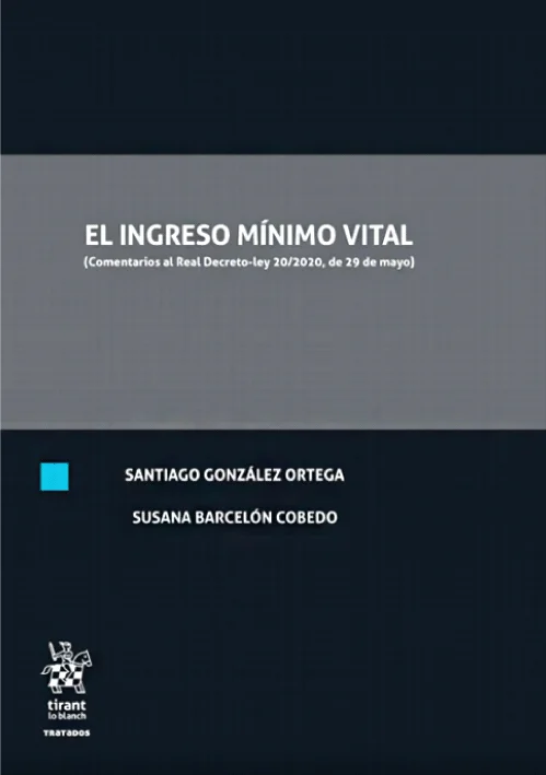 EL INGRESO MINIMO VITAL