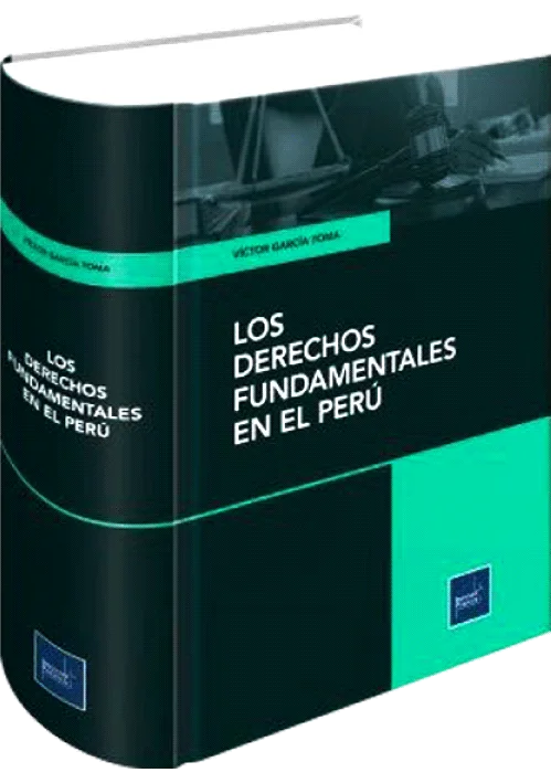 LOS DERECHOS FUNDAMENTALES EN EL PERÚ