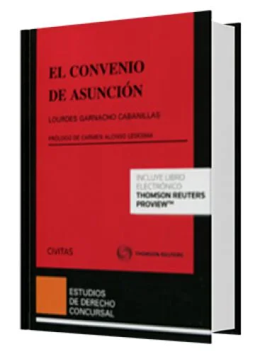 EL CONVENIO DE ASUNCIÓN
