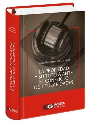 LA PROPIEDAD Y SU TUTELA ANTE EL CONFLIC..