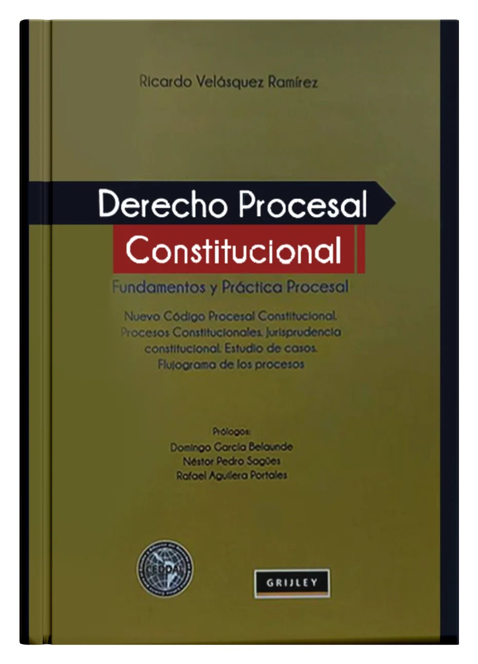 DERECHO PROCESAL CONSTITUCIONAL - Fundamentos y Práctica Procesal.