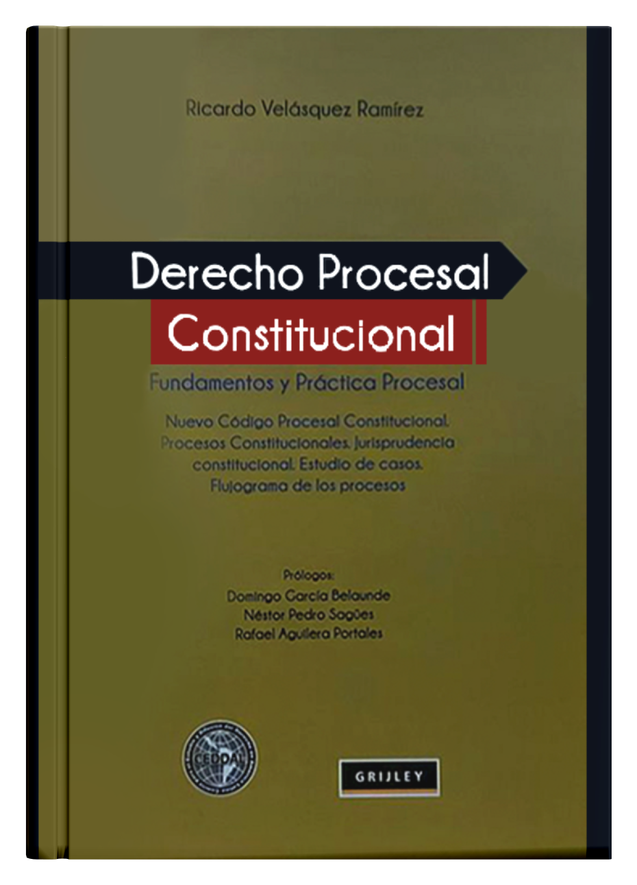 DERECHO PROCESAL CONSTITUCIONAL - Fundam..