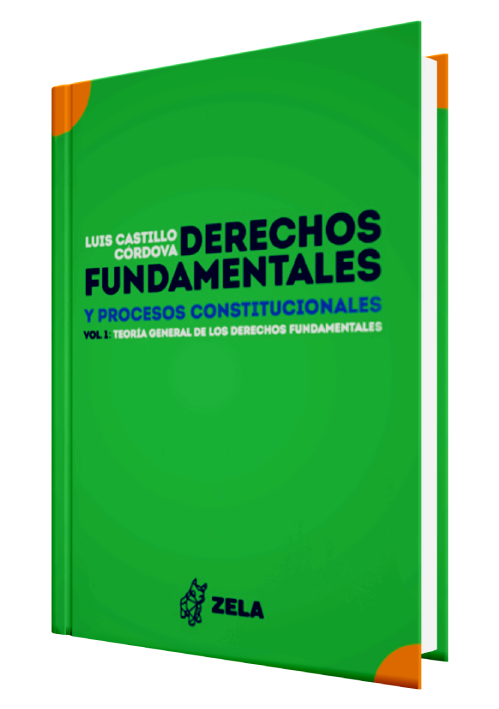 DERECHOS FUNDAMENTALES Y PROCESOS CONSTI..