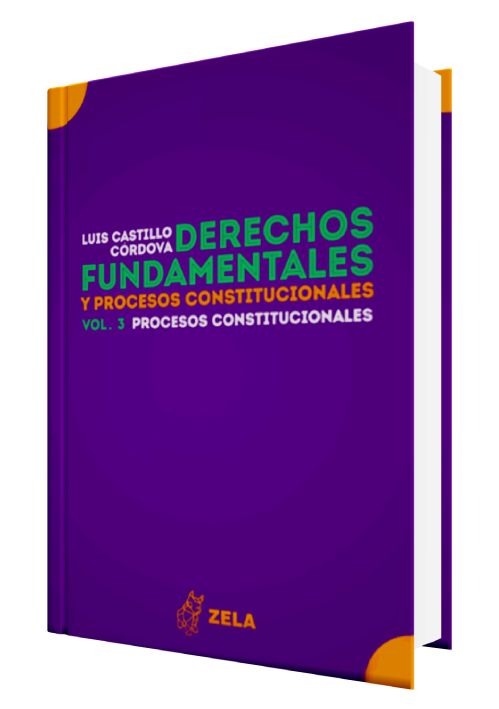 DERECHOS FUNDAMENTALES Y PROCESOS CONSTITUCIONALES. Los procesos constitucionales (vol. 3) DERECHOS FUNDAMENTALES Y PROCESOS CONSTITUCIONALES. Los procesos constitucionales (vol. 3)