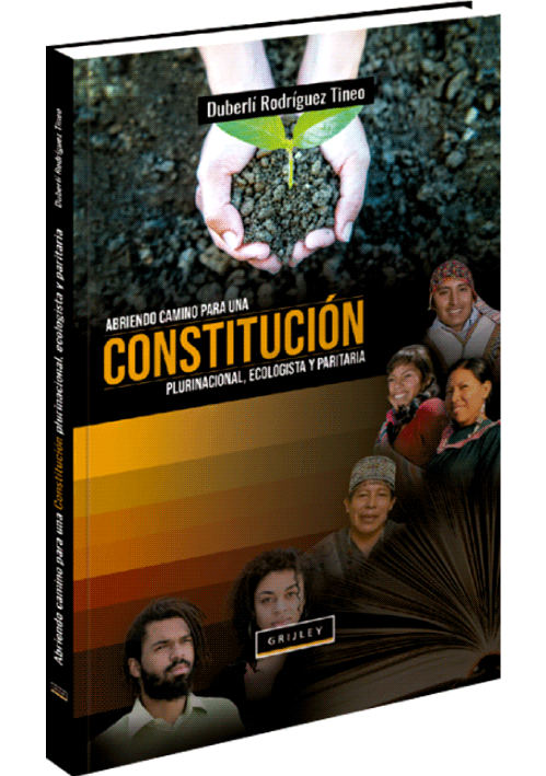 ABRIENDO CAMINO PARA UNA CONSTITUCIÓN PLURINACIONAL, ECOLOGISTA Y PARITARIA ABRIENDO CAMINO PARA UNA CONSTITUCIÓN PLURINACIONAL, ECOLOGISTA Y PARITARIA