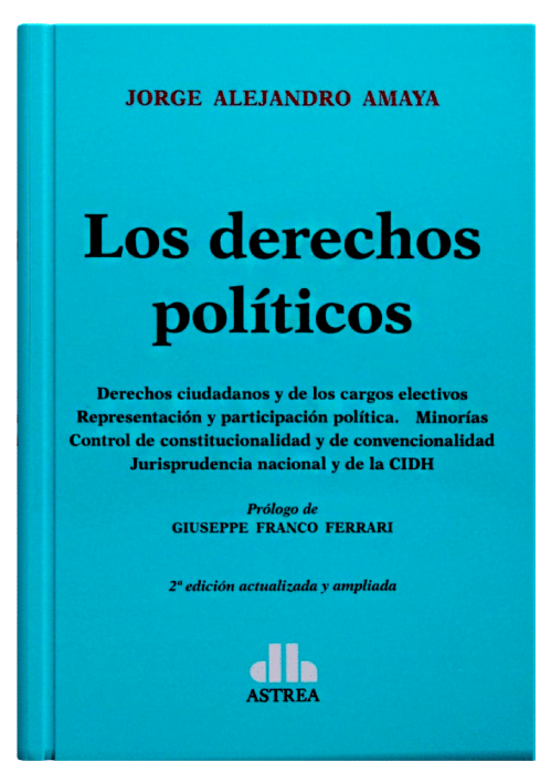 LOS DERECHOS POLÍTICOS