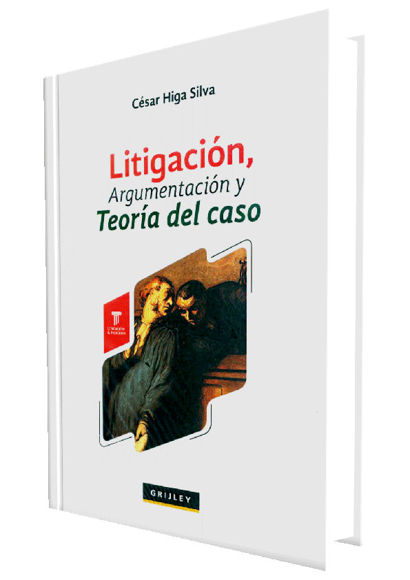 LITIGACION, ARGUMENTACION Y TEORIA DEL C..